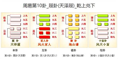 天澤履命卦|天澤履卦詳解